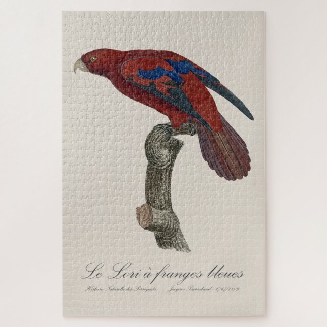 Le Lori a franges bleues  Jigsaw Puzzle (Vertical)