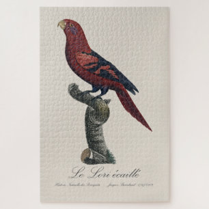 Le Lori ecaille / Blue-streaked lory  Jigsaw Puzzle