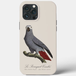Le Perroquet Cendre - 19th century illustration  iPhone 13 Pro Max Case