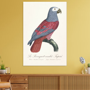 Le Perroquet cendre Tapire  Canvas Print