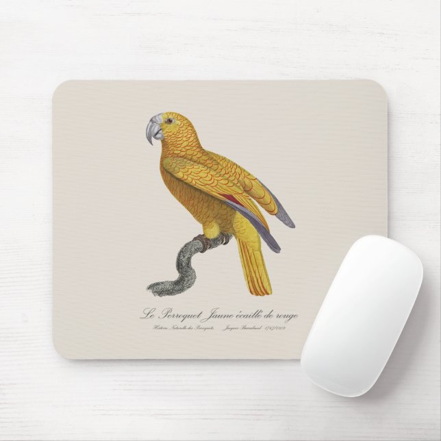 Le Perroquet Jaune ecaille de rouge  Mouse Mat (With Mouse)