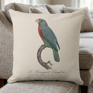 Le Perroquet Langlois by Jacques Barraband Cushion
