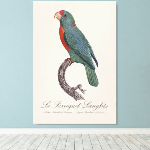Le Perroquet Langlois  Canvas Print