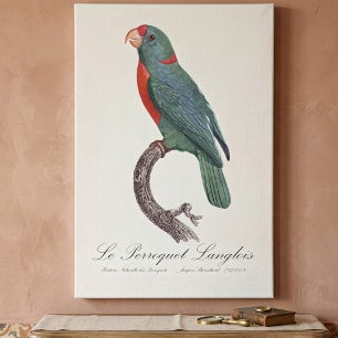 Le Perroquet Langlois  Canvas Print