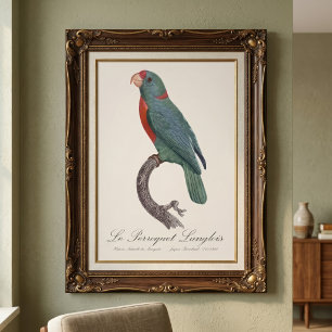 Le Perroquet Langlois  Photo Print