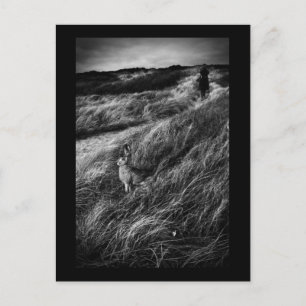 Le Rendez-vous d'Alice Wonderland fine art photo Postcard