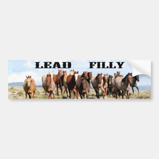 Lead Filly bumper sticker (Front)