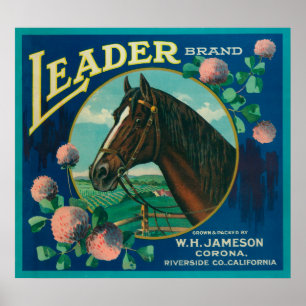 Leader Orange LabelCorona, CA Poster