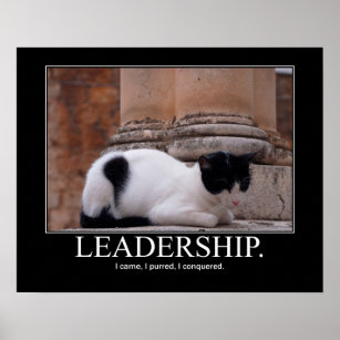 Leadership Cat Artwork Poster