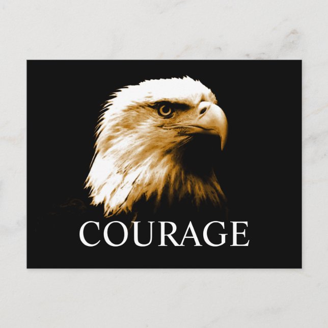 Leadership Courage Fearless Bald Eagle Postcards (Front)
