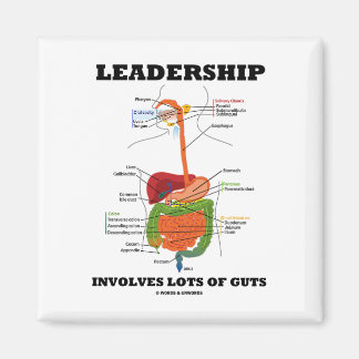 Leadership Involves Lots Of Guts (Digestive Humour Magnet