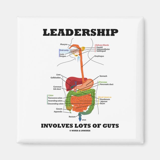 Leadership Involves Lots Of Guts (Digestive Humour Magnet (Front)