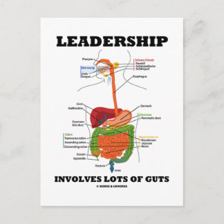 Leadership Involves Lots Of Guts (Digestive Humour Postcard