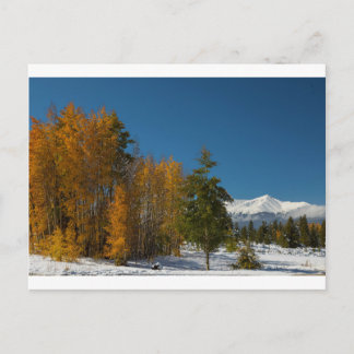 Leadville Autumn Views Postcard