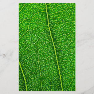 Leaf