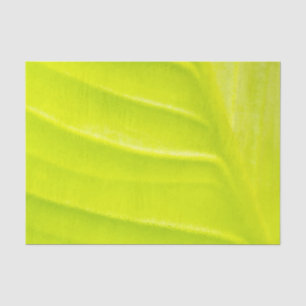 Leaf 10lb Tissue Paper
