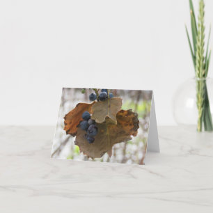 Leaf and Berrys of Blue - Blank Greeting Card