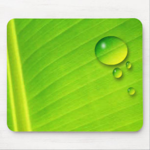 leaf and droplets mouse mat