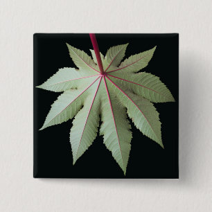 Leaf and Stem 15 Cm Square Badge