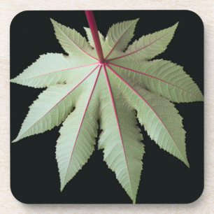 Leaf and Stem Coaster