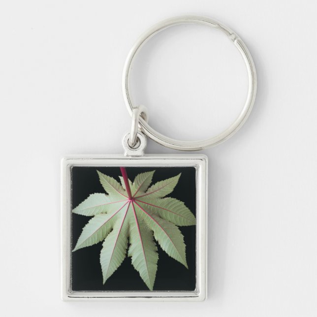 Leaf and Stem Key Ring (Front)