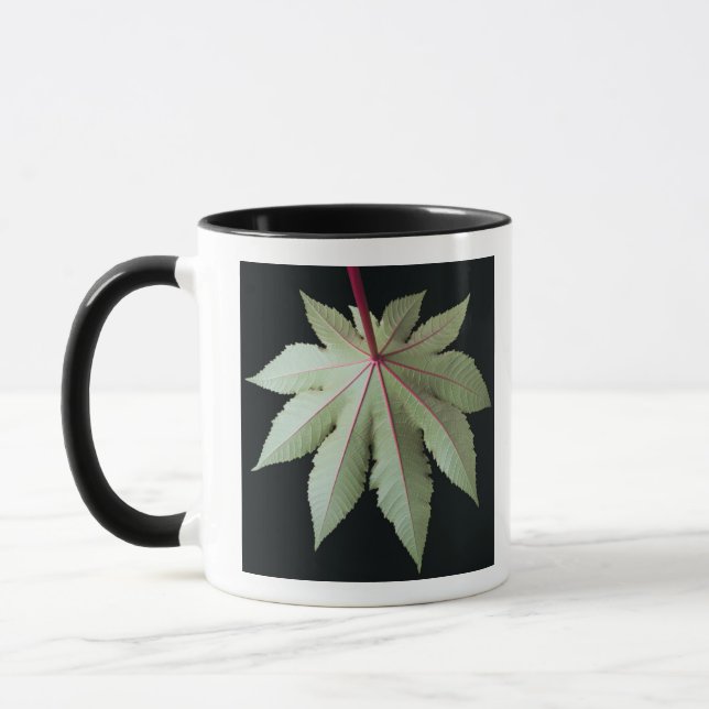 Leaf and Stem Mug (Left)