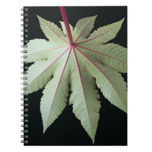 Leaf and Stem Notebook