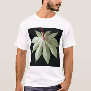 Leaf and Stem T-Shirt