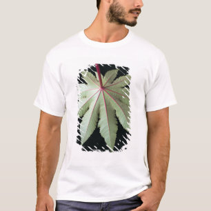 Leaf and Stem T-Shirt
