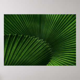 Leaf Background Poster