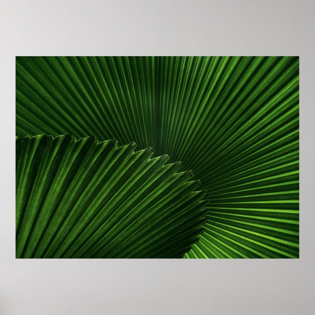 Leaf Background Poster (Front)