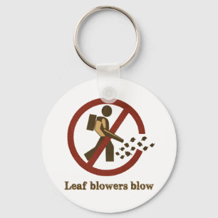 leaf blowers blow key ring