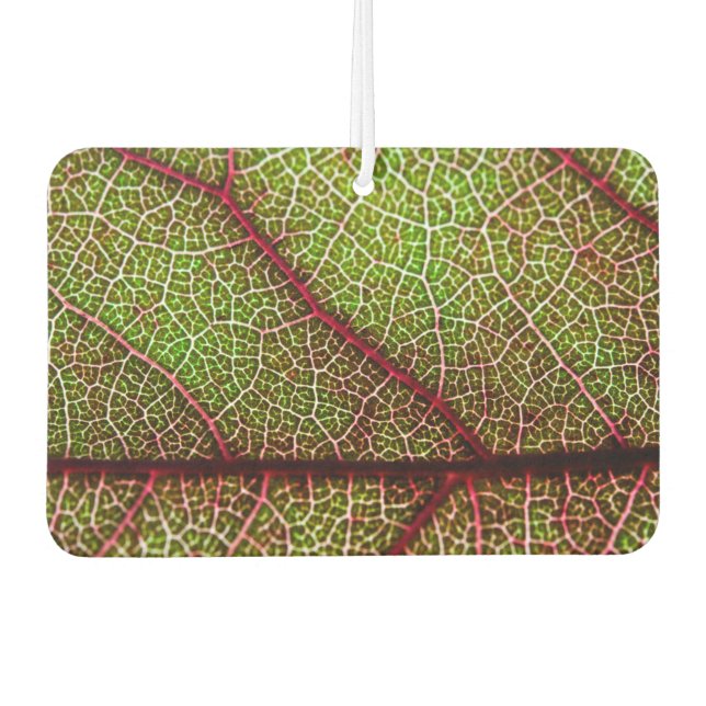 Leaf Car Air Freshener (Front)