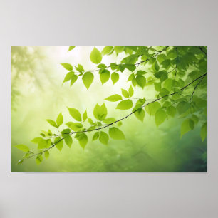 Leaf Close-up Calm Tranquil Nature Season Poster
