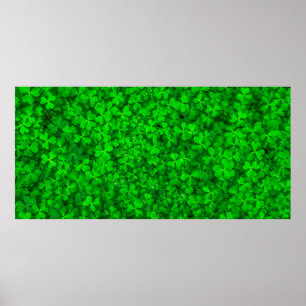 Leaf clover green shamrock spring poster