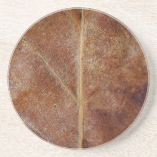 Leaf Coaster