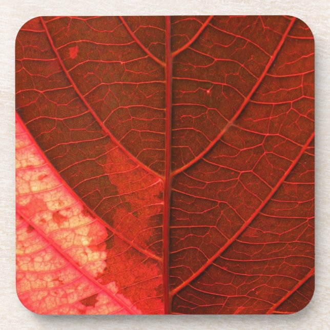 Leaf Coaster (Front)