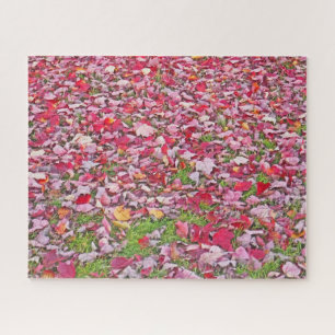 LEAF-COVERED GROUND/AUTUMN RED LEAVES ON GROUND JIGSAW PUZZLE