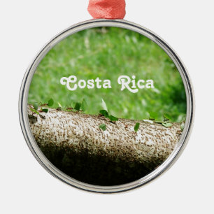 Leaf Cutter Ants in Costa Rica Metal Tree Decoration