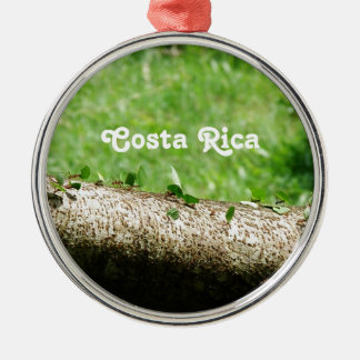 Leaf Cutter Ants in Costa Rica Metal Tree Decoration