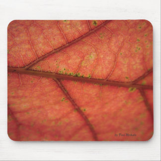 Leaf Detail Mouse Mat