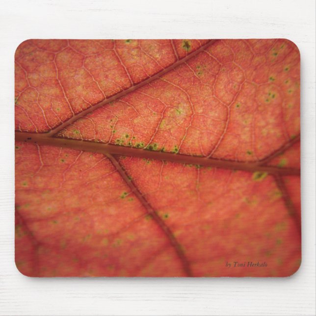 Leaf Detail Mouse Mat (Front)