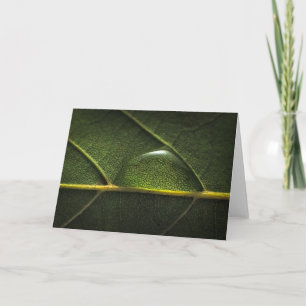 Leaf Droplets Card