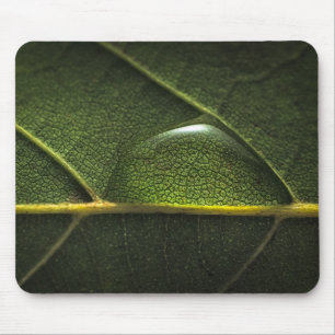 Leaf Droplets Mouse Mat