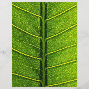 Leaf Flyer