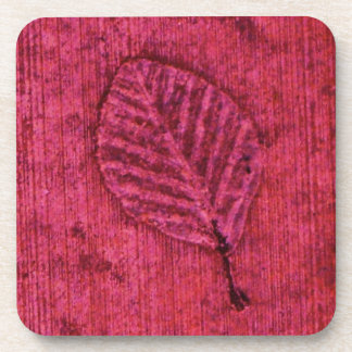 Leaf Fossil Coaster