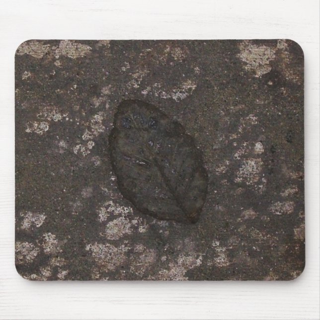 Leaf fossil mouse mat (Front)
