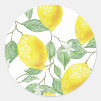 leaf-green-yellow-lemon-fruit classic round sticker