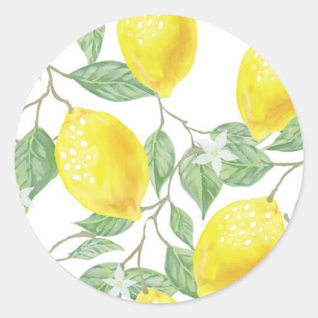 leaf-green-yellow-lemon-fruit classic round sticker (Front)