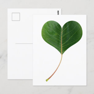 Leaf heart postcard